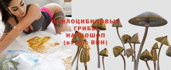 амф Алексин