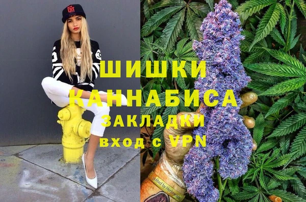 амф Алексин