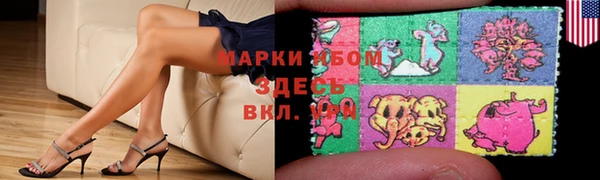 Альфа ПВП Аркадак