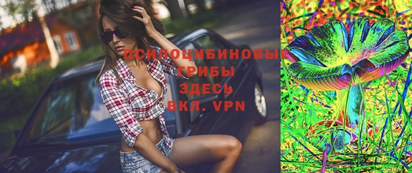 молекула духа Алексеевка