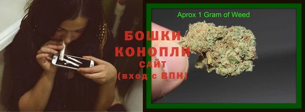 тгк Арсеньев