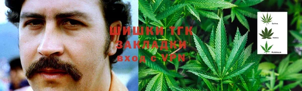 СК Алзамай